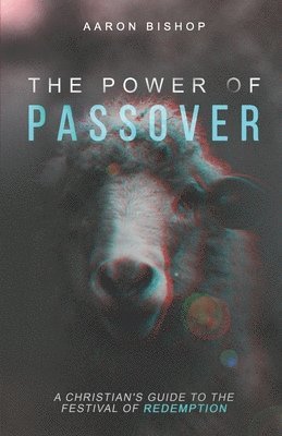 Aaron Bishop - Power of Passover, Häftad