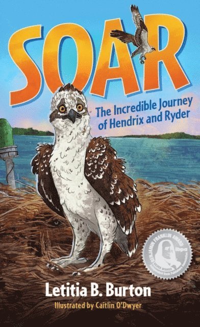 Letitia B. Burton - Soar, E-bok