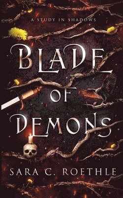 Sara C Roethle - Blade of Demons, Häftad
