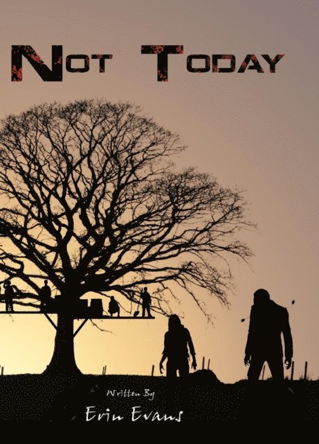 Erin Evans - Not Today, E-bok