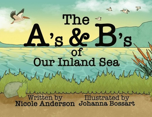 Nicole M. Anderson - The A's and B's of Our Inland Sea, Häftad