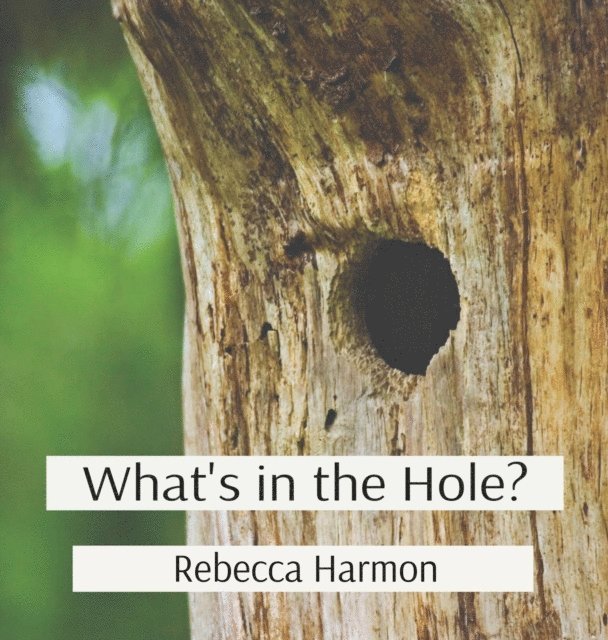 Rebecca Harmon - What's in the Hole?, E-bok. Tillgänglighet: Lägg i varukorg