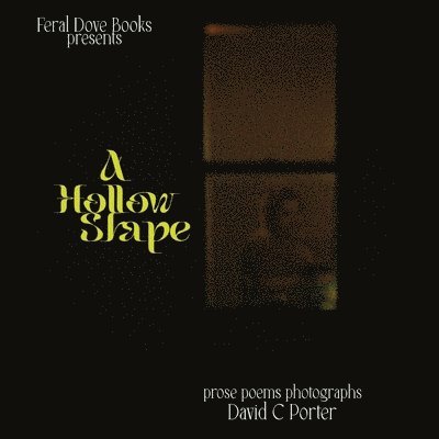 David C Porter - Hollow Shape, Häftad