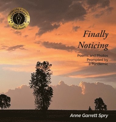 Spry - Finally Noticing, Inbunden