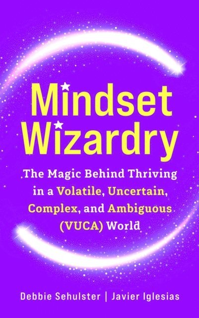 Javier Iglesias, Debbie Sehulster - Mindset Wizardry, E-bok