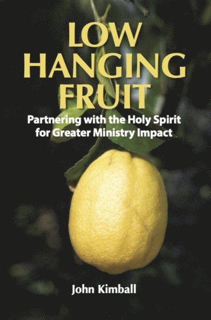 John Kimball - Low Hanging Fruit: Partnering with the Holy Spirit for Greater Ministry Impact, E-bok