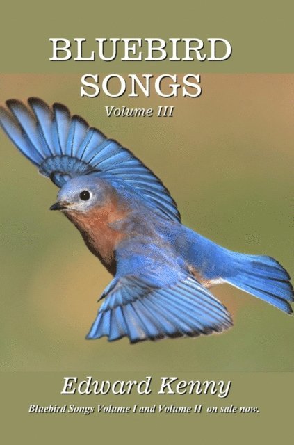 Edward Kenny - Bluebird Songs (Volume III), E-bok. Tillgänglighet: Lägg i varukorg