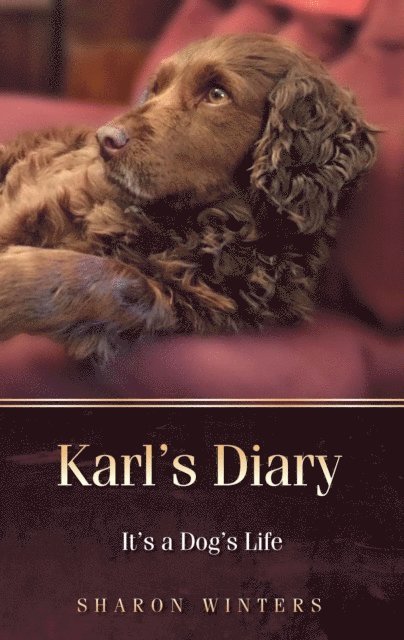 Sharon Winters - Karl's Diary, E-bok