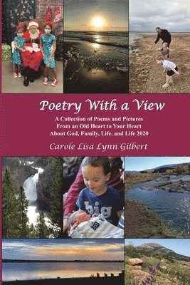 Carole Lisa Lynn Gilbert - Poetry With a View, Häftad