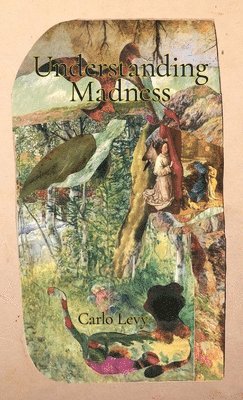 Carlo Levy - Understanding Madness, Häftad
