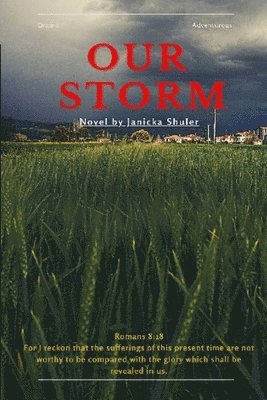 Janicka Shuler - Our Storm, Häftad