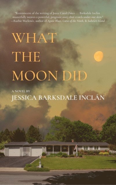 Jessica Barksdale Inclan - What the Moon Did, E-bok