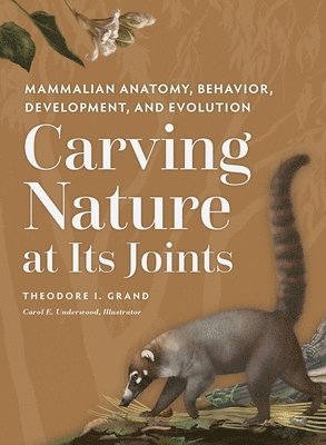 Theodore I Grand - Carving Nature at Its Joints, Inbunden