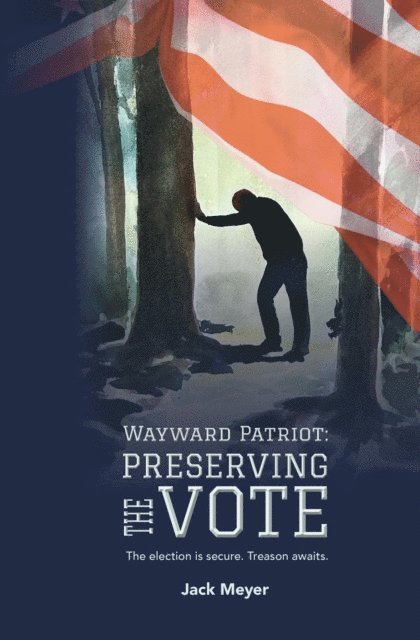 Jack Meyer - Wayward Patriot, E-bok