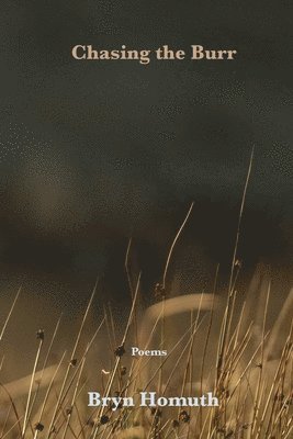 Bryn Homuth - Chasing the Burr, Häftad