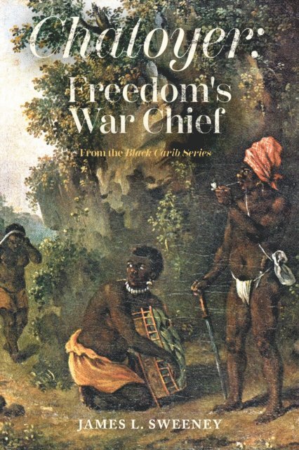 James L. Sweeney - Chatoyer: Freedom's War Chief, E-bok