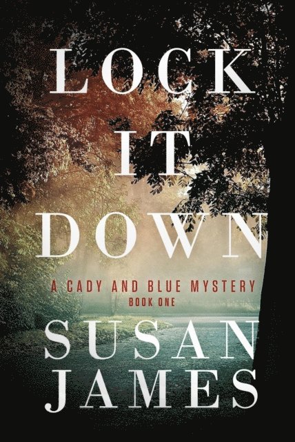 Susan James - Lock It Down, E-bok