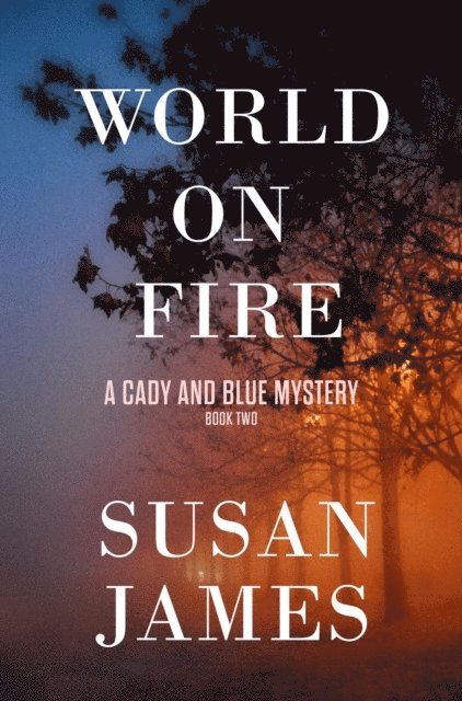 Susan James - World on Fire, E-bok
