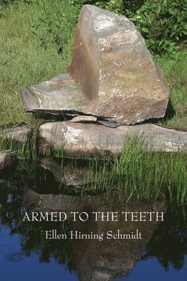 Ellen Hirning Schmidt - Armed to the Teeth, Häftad