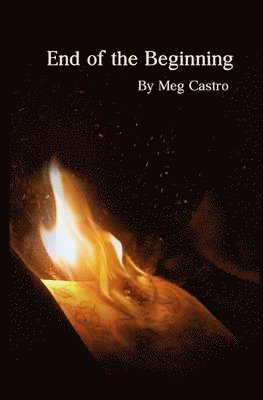 Meg Castro - End of the Beginning, Häftad. Tillgänglighet: Lägg i varukorg