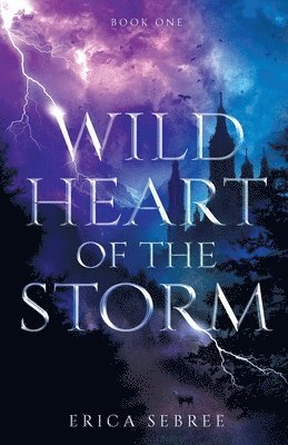 Erica Sebree - Wild Heart of the Storm, Häftad