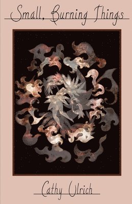 Cathy Ulrich - Small, Burning Things, Häftad