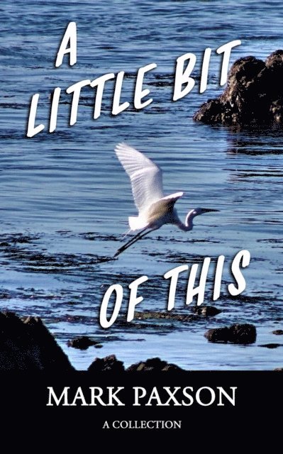 Mark Paxson - Little Bit of This, E-bok