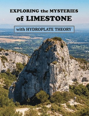 Ellen J McHenry - Exploring the Mysteries of Limestone with Hydroplate Theory, Häftad