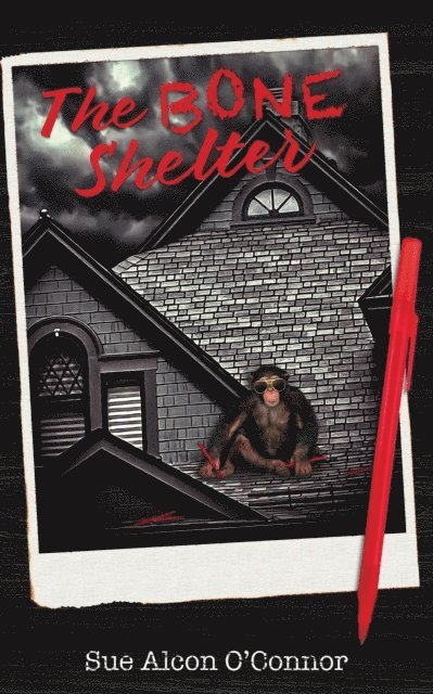 Sue Alcon O'Connor - Bone Shelter, E-bok