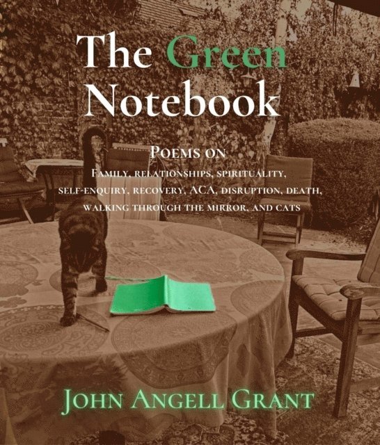 John Angell Grant - Green Notebook, E-bok