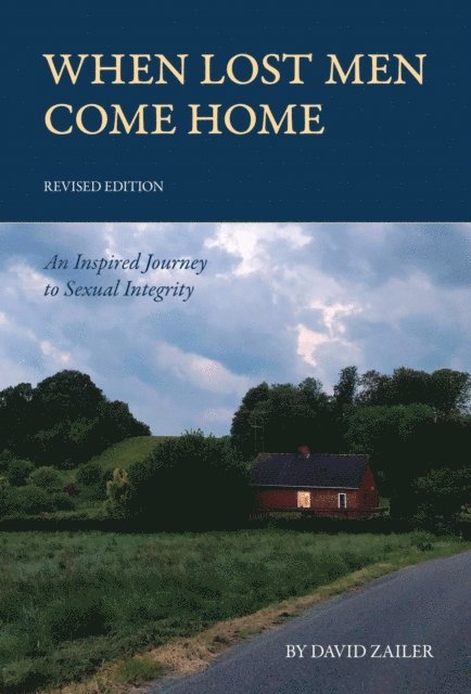 David Zailer - When Lost Men Come Home, E-bok