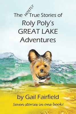 Gail Fairfield - MOSTLY True Stories of Roly Poly's Great Lake Adventures, Häftad