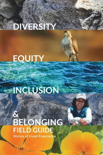 Karen Warren, Denise Mitten, Rita Yerkes - Diversity, Equity, Inclusion, and Belonging Field Guide, E-bok