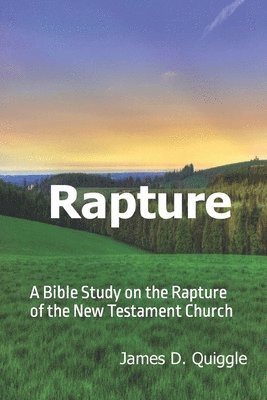 James D Quiggle, James D. Quiggle - Rapture, Häftad