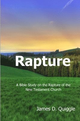 James D Quiggle - Rapture, Häftad