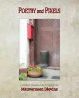 Blevins - Poetry and Pixels, Häftad. Tillgänglighet: Lägg i varukorg
