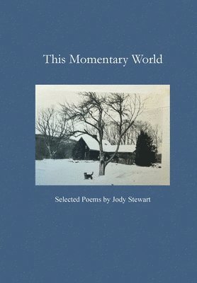Jody Stewart - This Momentary World, Häftad