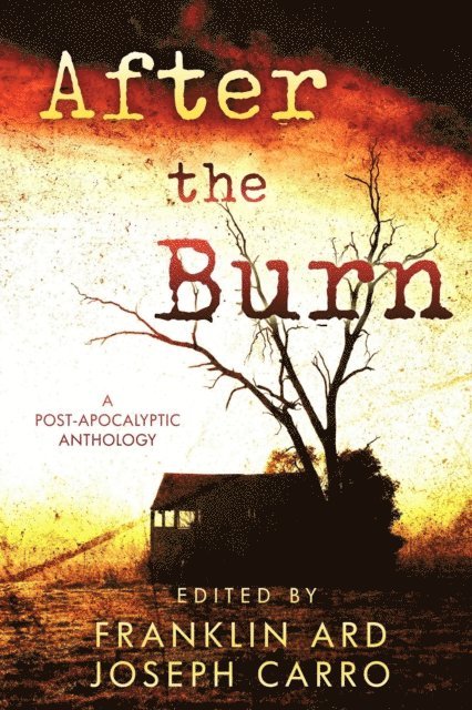Chloe Viner, Richard Squires, Karen Marie Menzel, Rebecca McKenna, Derek B. Hoffman, Devin Gaither, Renee S. DeCamillis, Shane R. Collins, Paul Carro, Joseph Carro, Franklin Ard - After the Burn, E-bok