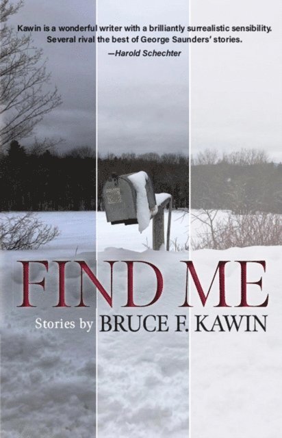 Bruce F. Kawin - Find Me, E-bok