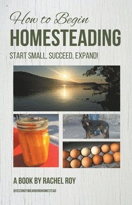 Rachel Roy - How to Begin Homesteading, Häftad. Tillgänglighet: Lägg i varukorg
