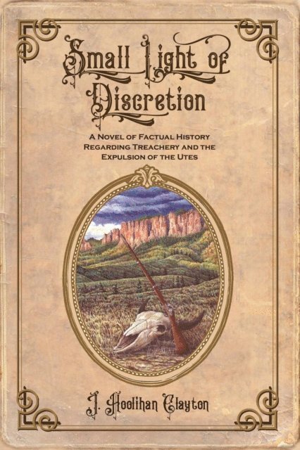 J Hoolihan Clayton - Small Light Of Discretion, E-bok