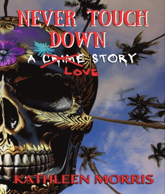 Kathleen Morris - Never Touch Down, E-bok