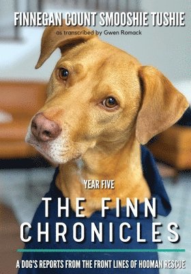 Gwen Romack - Finn Chronicles, Häftad. Tillgänglighet: Lägg i varukorg