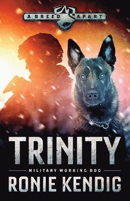 Ronie Kendig - Trinity, Häftad