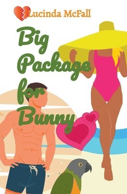 Lucinda McFall - Big Package for Bunny, Häftad