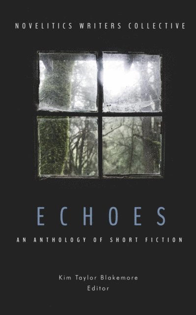 Sharon Woodard, Shirley Perez West, K. Fufkin Vollmayer, Annie Tupek, Micah Thorp, Gail Priest, Katie Nelson, Gail Lehrman, Susan Kraus, Sue Ann Higgens, Carrie Hayes, Elyse Garrett, Kerry Cathers - Echoes: An Anthology of Short Fiction, E-bok