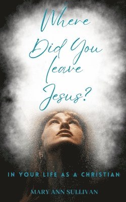 Mary Ann Sullivan - Where Did You Leave Jesus?, Häftad