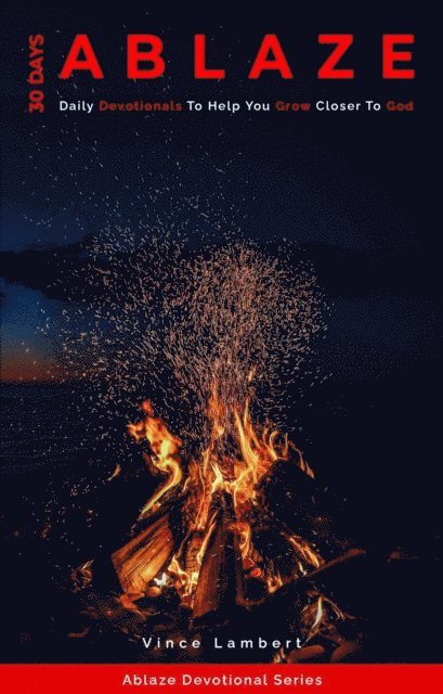 Vince Lambert - 30 Days Ablaze, E-bok
