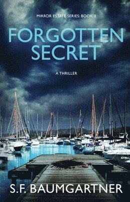 S F Baumgartner - Forgotten Secret, Häftad