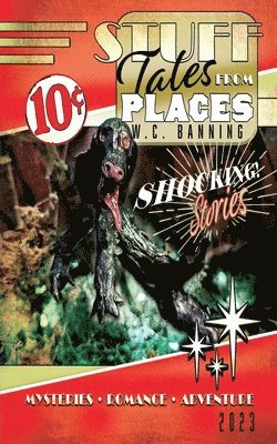 W. Cody Banning, Todd Fischer - Stuff: Tales from Places, Häftad
